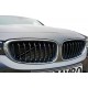 Set de 2 ornamente V-BRACE grile bara fata pentru BMW X3 F25 din 2010-2017, X4 F26 din 2014-2018 Negru